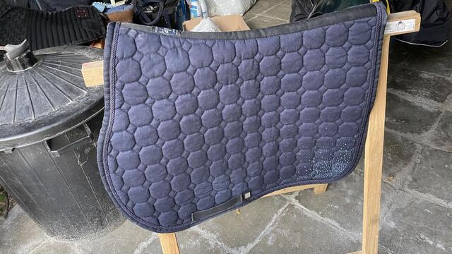 tapis bleu equiline