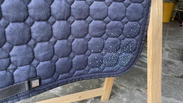 tapis bleu equiline