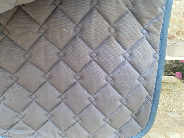 Tapis dressage