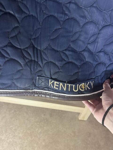 tapis Kentucky