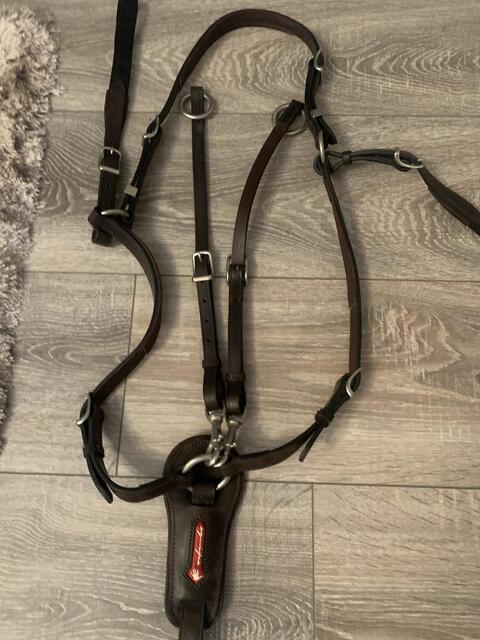 Collier de chasse avec martingale