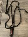 Collier de chasse avec martingale