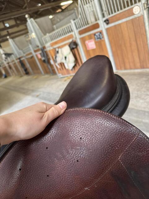 Selle voltaire blue infinite 17,5