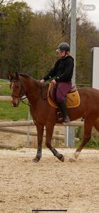 Tapis Kentucky Velvet moutarde
