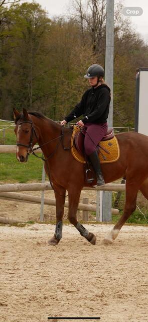 Tapis Kentucky Velvet moutarde