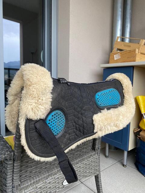 Amortisseur mouton et gel