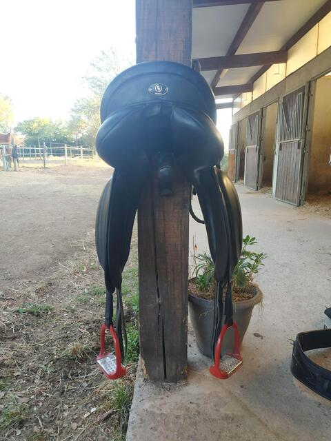 Selle Dressage