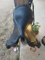 Selle Dressage