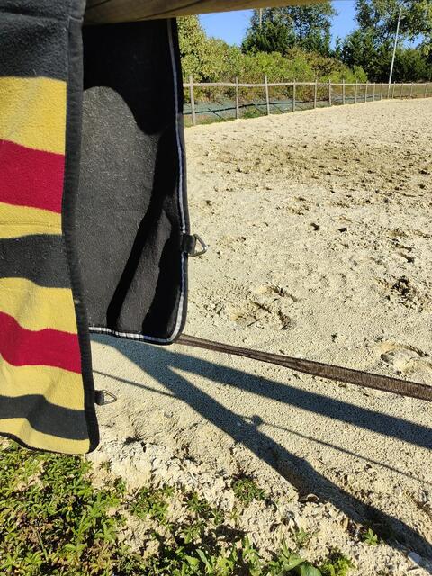 Couvre reins hosewear