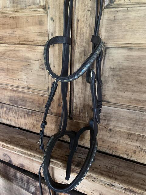 Filet clincher marron taille cob pur sang