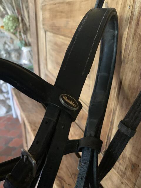 Filet noir taille cheval