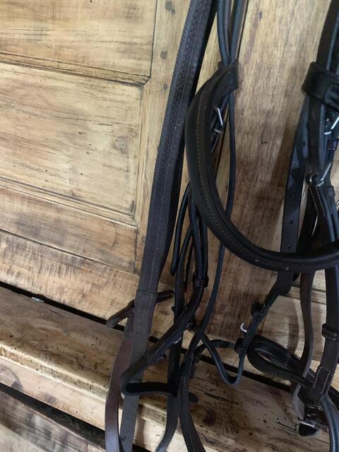 Filet clincher marron taille cob pur sang