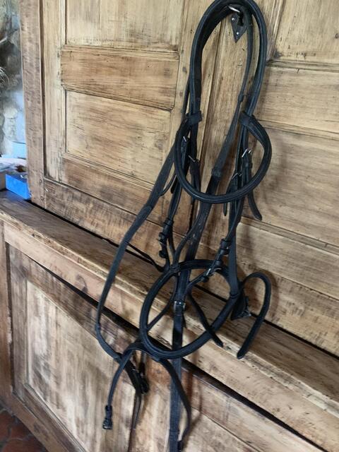 Filet noir taille cheval