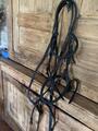 Filet noir taille cheval