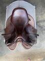 Selle JL Maurel pro advent 17,5p