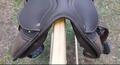 Selle Norton pro 17’5