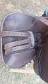 Selle Norton pro 17’5