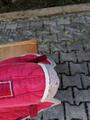 Tapis Lamicell Elégance