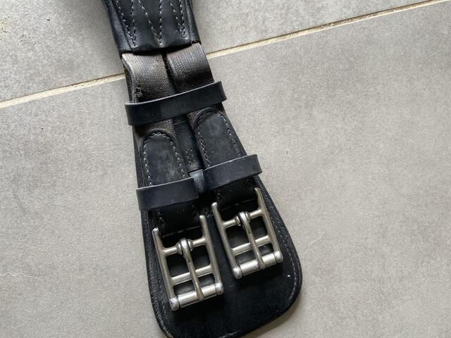 Sangle dressage prestige