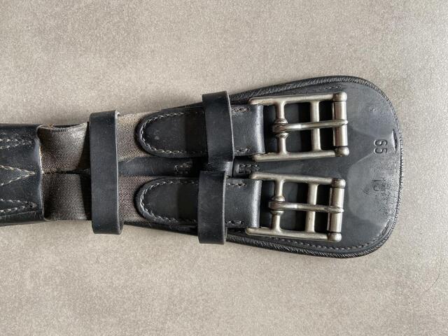 Sangle dressage prestige