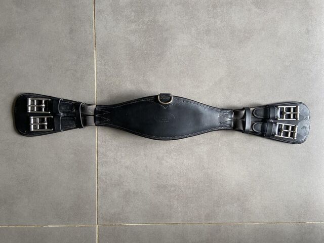 Sangle dressage prestige