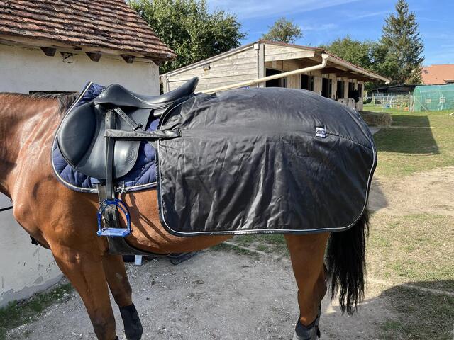 Couvre rein GEM imperméable