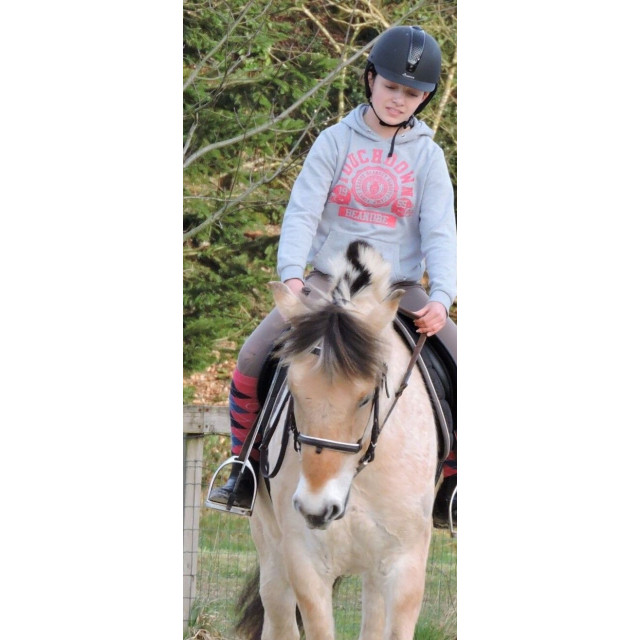 Bombe d'équitation