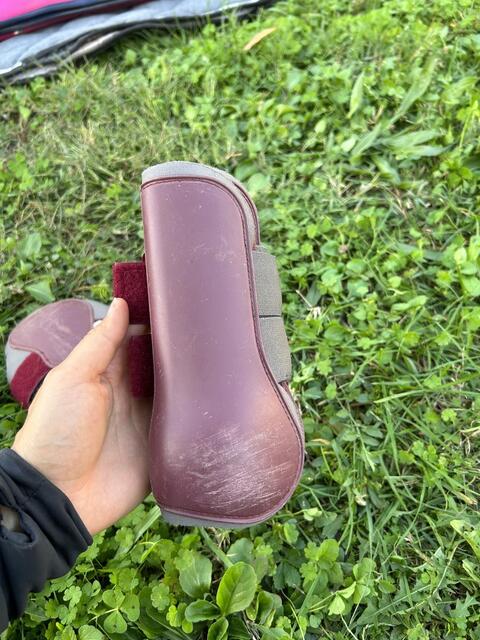 Protections Norton poney bordeaux