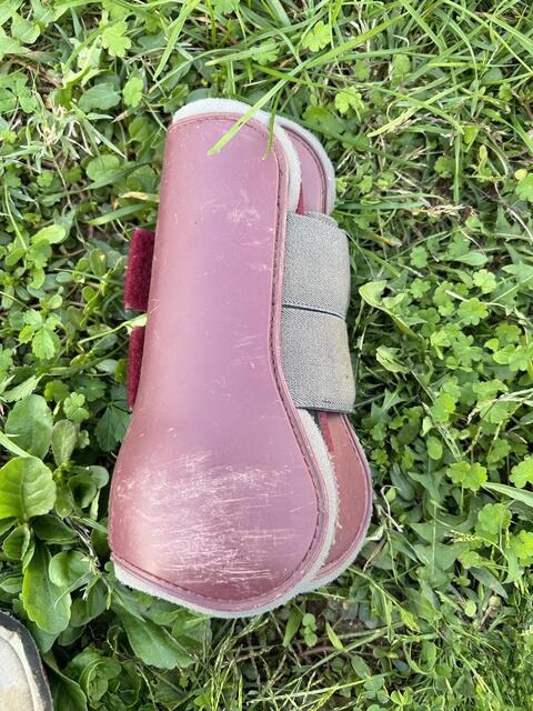 Protections Norton poney bordeaux