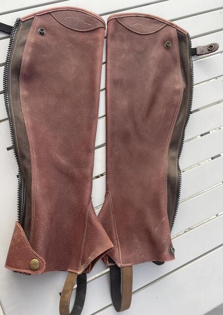 Chaps dyon