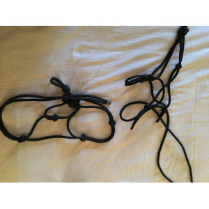 Lot de 6 licols nylon