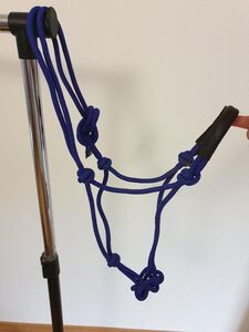 Licol et longe éthologique