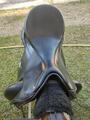 Selle de dressage Time rider