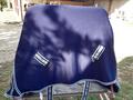 Chemise Equitheme Sweat neuve
