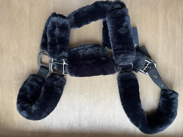 Licol mouton LEMIEUX