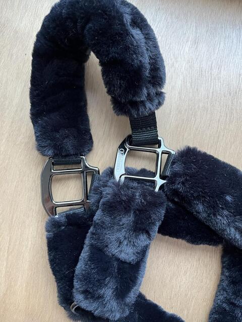 Licol mouton LEMIEUX