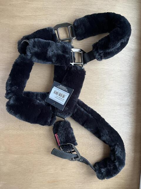 Licol mouton LEMIEUX