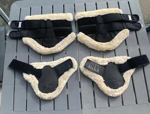 Protections dressage mouton