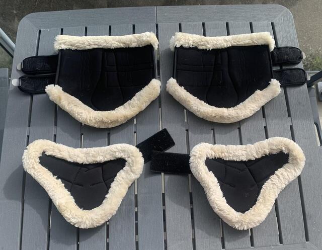 Protections dressage mouton