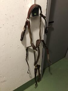 Collier de chasse 5 points Time Rider