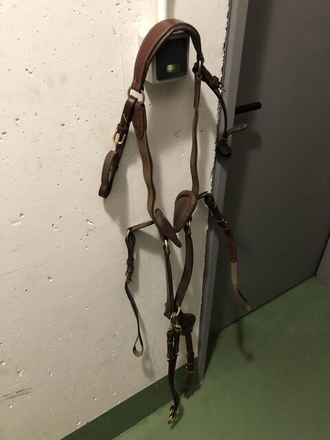 Collier de chasse 5 points Time Rider