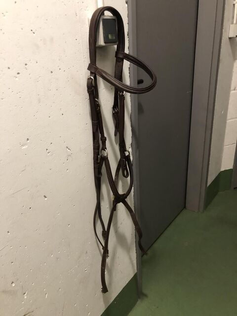 Filet muserolle croisée surpiqûres Privilège Équitation