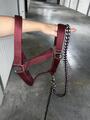 Licol showmaster bordeaux + longe