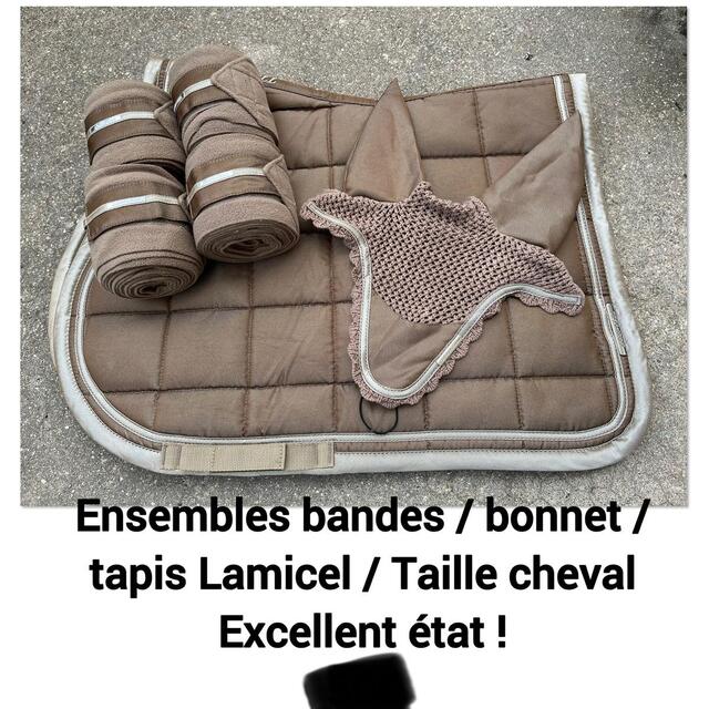 Ensemble Lami-Cell