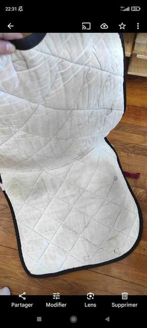 Tapis equiline