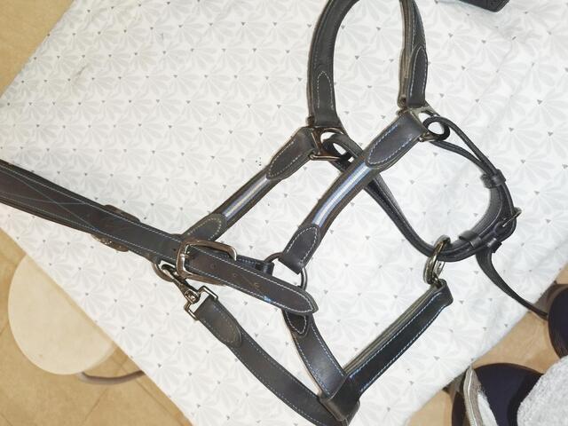 Licol cuir noir fouganza