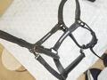 Licol cuir noir fouganza