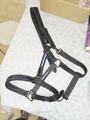 Licol cuir noir fouganza