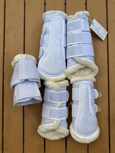 Protections concours dressage