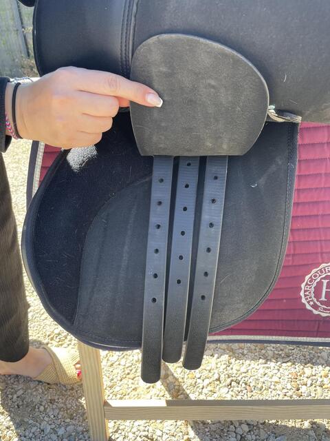 Selle Wintec 250